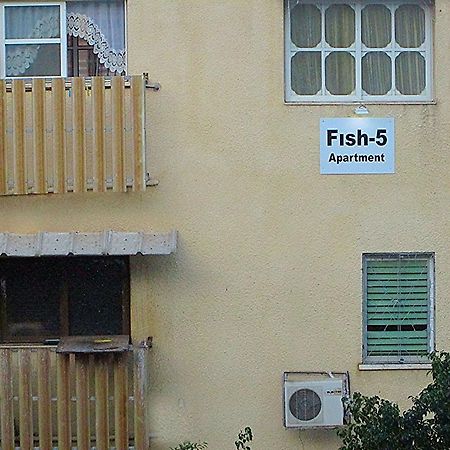Fish 5 Apartment Tiberias Zimmer foto